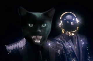 Your New Ringtone: Cat Lucky