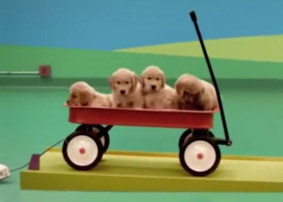 Pups Run This Rube Goldberg Machine