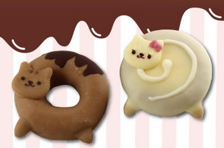 The Internet Is Going To Explode: Cat Donuts