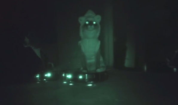 Cat In A Shark Costume Riding A Roomba AT NIGHT