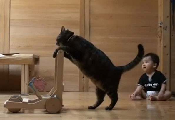 Cat Teaches Baby To Walk