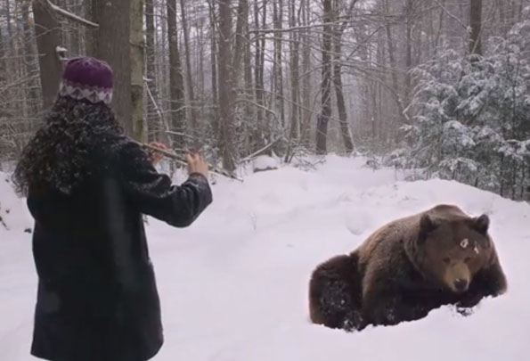 Playing Flute Lullabies Bear To Sleep