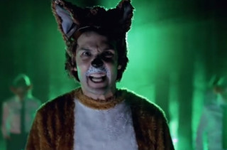 What the Fox Say?