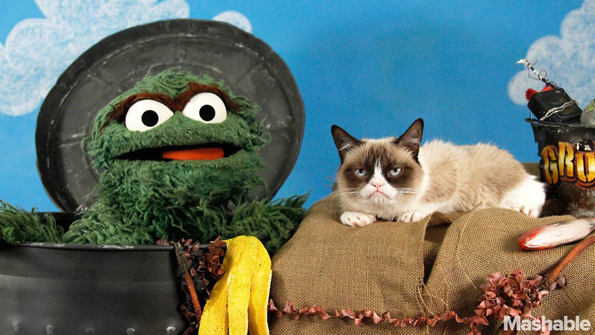 Oscar The Grouch vs Grumpy Cat