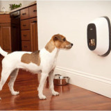 PetChatz: Greet & Treat Your Pup While You're Away