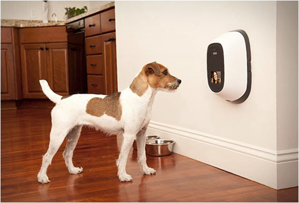 PetChatz: Greet & Treat Your Pup While You’re Away