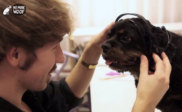 Headset Reads Dogs’ Minds