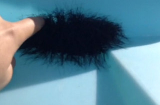 This 6 Second Clip is the Scariest Vine Video Ever