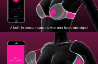 The True Love Bra