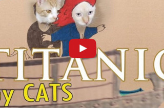 The Titanic Starring Cats