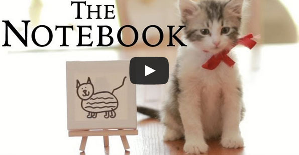 Kittens Star In The Notebook