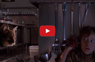 Jurassic Park’s Raptors Replaced With Cats
