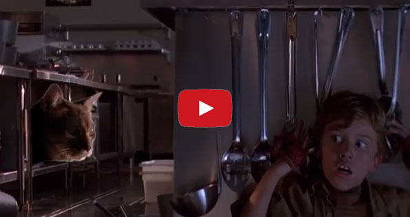 Jurassic Park’s Raptors Replaced With Cats