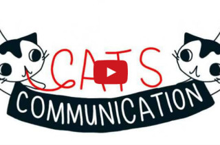 What’s Your Cat Telling You?