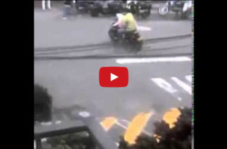 Just A Dog Driving A Motorcycle…
