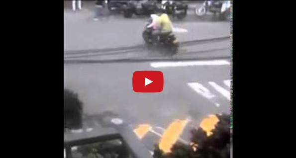 Just A Dog Driving A Motorcycle…