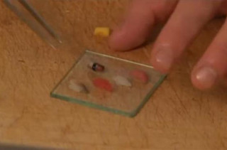 Behold! The Tiniest Sushi EVAR