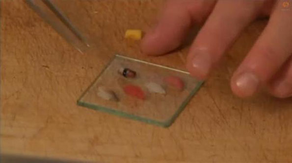 Behold! The Tiniest Sushi EVAR
