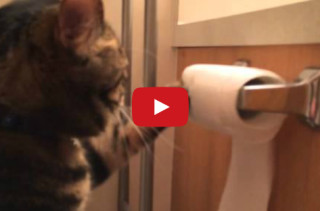 Don’t P Me Off Toilet Paper Holder