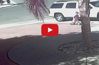 A Rescue Dog + A Little Boy = The Cutest Besties