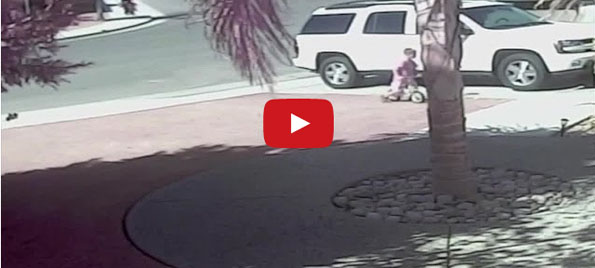 A Rescue Dog + A Little Boy = The Cutest Besties