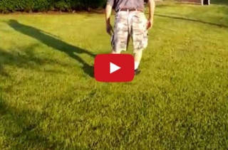 A Man Rescues Ducklings, Now He Is Their Dad