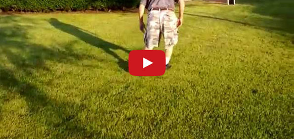 A Man Rescues Ducklings, Now He Is Their Dad