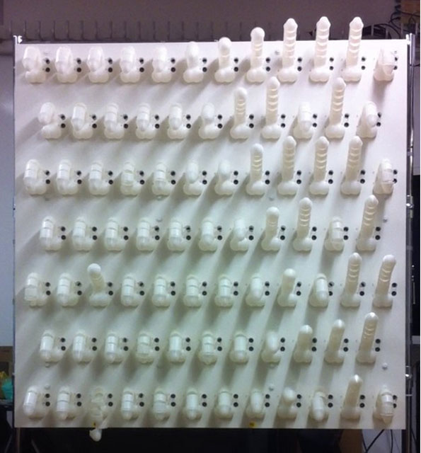 The Penis Wall Is A Wall Of Dancing Dongs