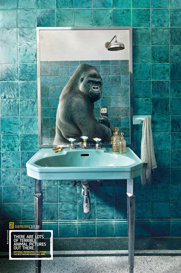 Sorry, But Clearly Animals Selfies > Your Selfies animal-selfies-national-geographic-1