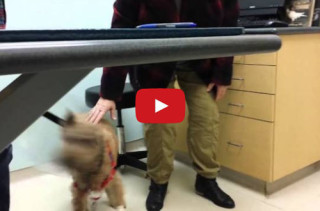Watch This Blind Girl Sing Wrecking Ball While Reading Braille