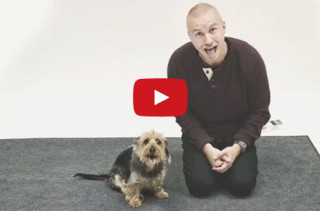 Dogs React Hilariously To Crazy Human Barking At Them