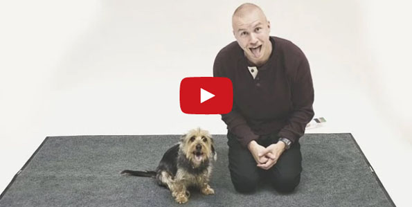 magician-barks-at-dogs