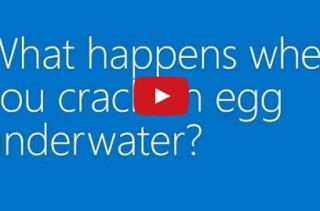 What Happens When You Crack An Egg Underwater?