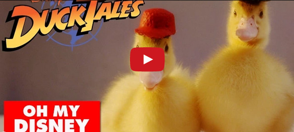 DuckTales Theme Song With Actual Ducks. YESSS!