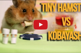 Hamster Battles Kobayashi In Hot Dog Eating Contest