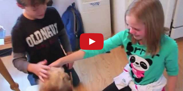Parents Surprise Kids With A Puppy, Their Reaction Is Heartwarming