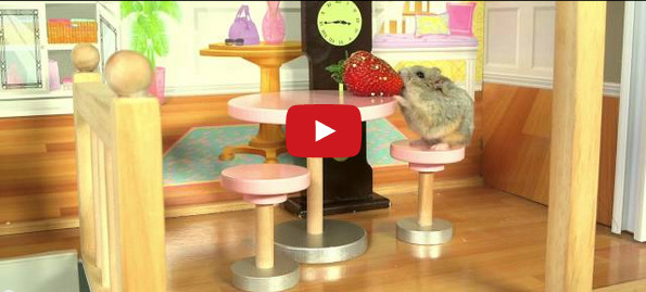 A Tiny Hamster In A Tiny House Is Too Cute For Life