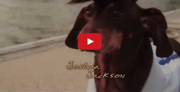 It Was Only A Matter Of Time: Dachshund’s Creek