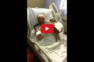 A Sick Man & His Dog Are Reunited = All The Tears