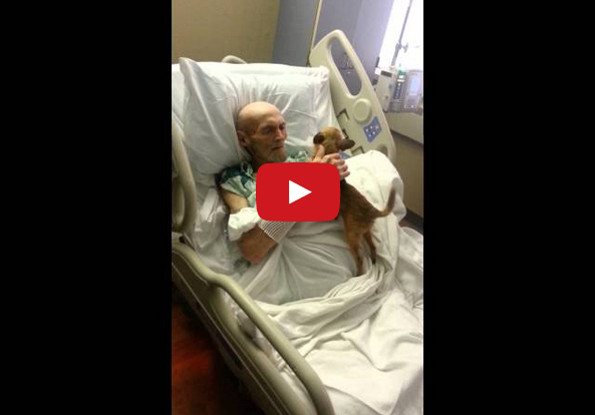 A Sick Man & His Dog Are Reunited = All The Tears