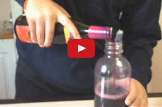 A Kid Tries To Make Sparkling Wine, Hilarity Ensues