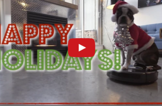 A Boston Terrier Dressed As Santa Claus Riding A Roomba