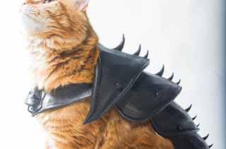 This 3-D Printed Cat Armor Prepares Your Kitty For Battle