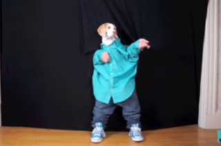 Maymo The Dog Dancing Like A Person Is More Than I Can Handle