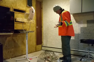 Watch This Bird Curse Out A Man, Because Why The Hell Not?