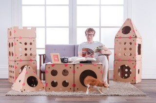 Connectable Cardboard Creates Customizable Cat Houses