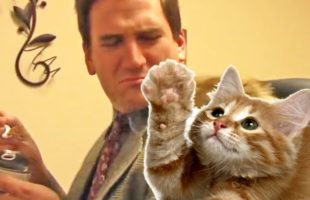 This Kooky Animal Shelter Commercial Is A Real Delight