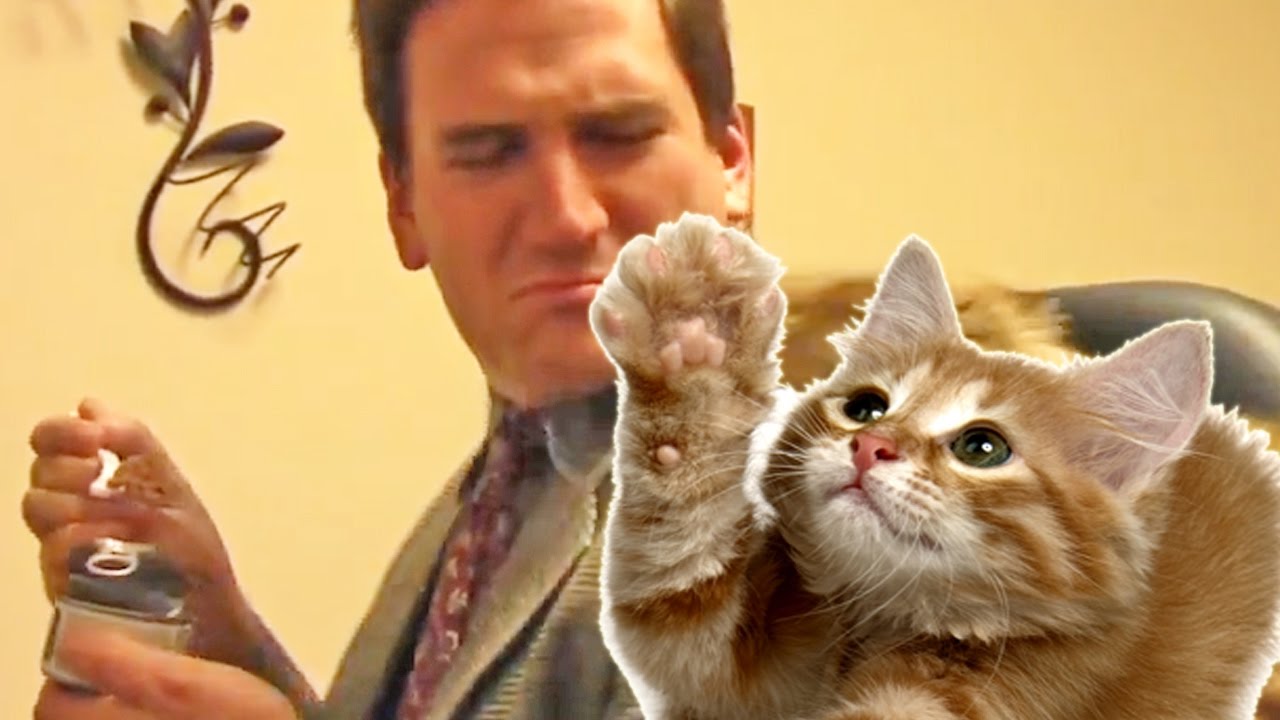 This Kooky Animal Shelter Commercial Is A Real Delight