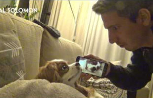 A Man Shows His Dog How Loud He Snores (Pretty Loud, TBH)