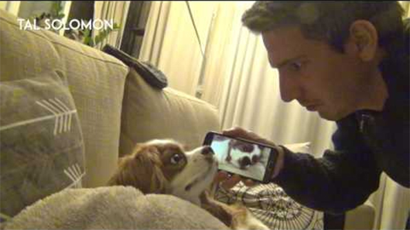A Man Shows His Dog How Loud He Snores (Pretty Loud, TBH)